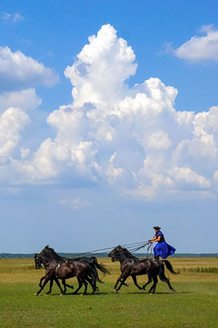 the-big-hungarian-lowland